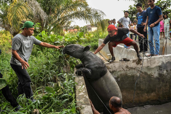 مهم ترین عکس های روز سه شنبه (گزارش تصویری)