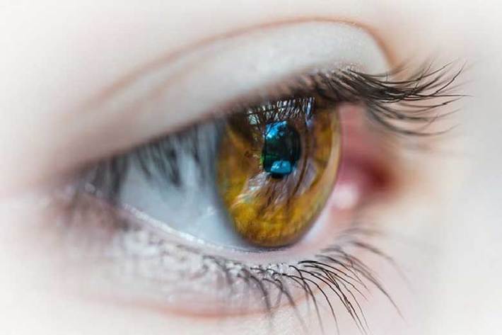 با آن‌كه متخصصان چشم هر سال در ماه مبارك رمضان تاكید می‌كنند روزه‌ داری، اثر زیانباری بر عیوب انكساری چشم ندارد اما همچنان بسیاری از افرادی كه دچار نزدیك‌ بینی، دوربینی یا آستیگماتیسم هستند، نسبت به تاثیرات روزه‌داری بر افزایش نمره عینك‌شان به‌تردید می‌افتند.