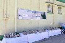 کشف 63 کیلو هروئین در کوهدشت