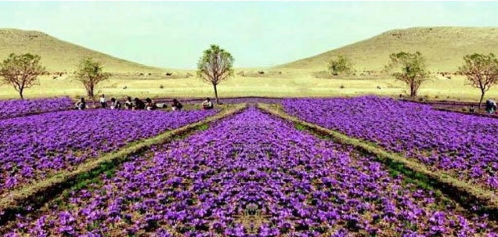 آشنایی با دشت فادیا یکی از دشت های ناشناخته ایران آشنایی با دشت فادیا یکی از دشت های ناشناخته ایران