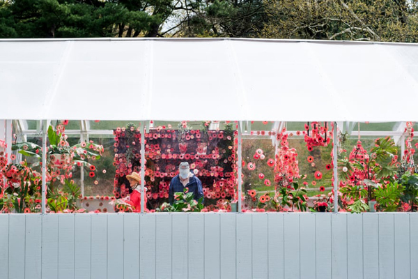 داستان یک مجسمه عظیم و تکراری / صف طویل واکسن کرونا (گزارش تصویری) داستان یک مجسمه عظیم و تکراری / صف طویل واکسن کرونا (گزارش تصویری)