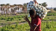 ماجرای کلیپ جنجالی جیرفت چه بود؟
