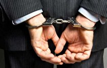 دستگیری خرس شرور توسط پلیس (+عکس)