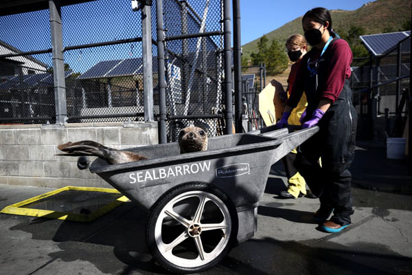 تصاویر مهم 24 ساعت اخیر (گزارش تصویری) تصاویر مهم 24 ساعت اخیر (گزارش تصویری)