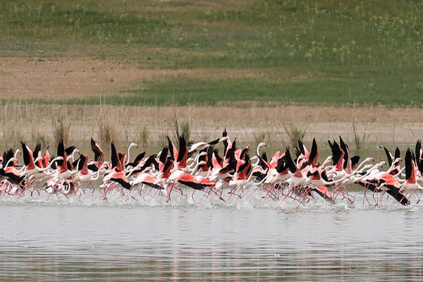 تصاویر مهم 24 ساعت اخیر (گزارش تصویری) تصاویر مهم 24 ساعت اخیر (گزارش تصویری)