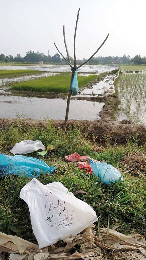 بلایی که از آسمان نازل شد (+تصاویر) بلایی که از آسمان نازل شد (+تصاویر)