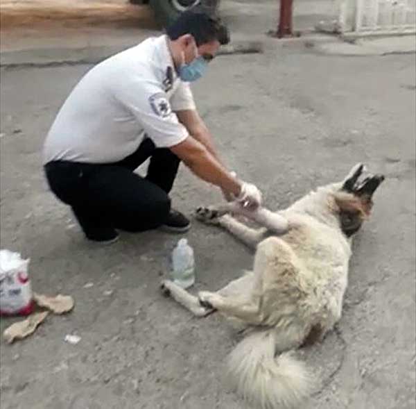 نجات جان مادر با تماس پسر 7ساله (+تصاویر)