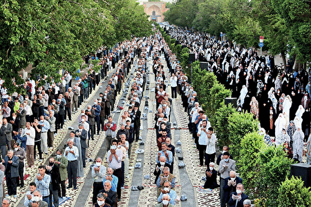 ماهی که ماه بود