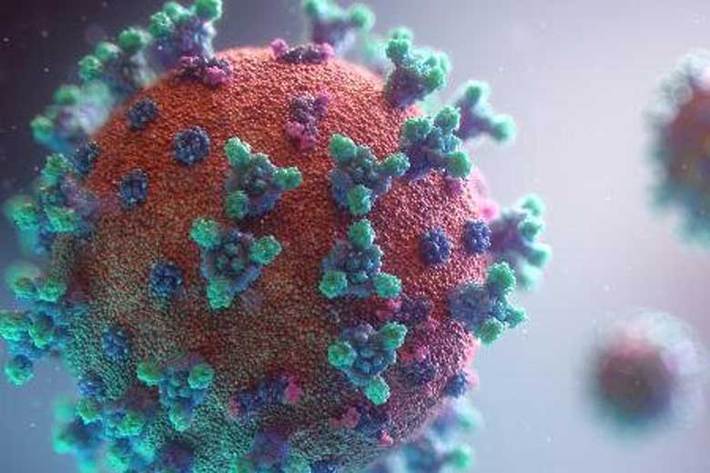 رئیس مرکز تحقیقات ویروس شناسی دانشگاه شهید بهشتی با تاکید بر اینکه جهش‌ های ویروس کرونا در راستای ایجاد سازگاری بیشتر ویروس با محیط رخ می‌دهد، توضیحاتی درباره جهش‌ هندی کرونا ارائه کرد.