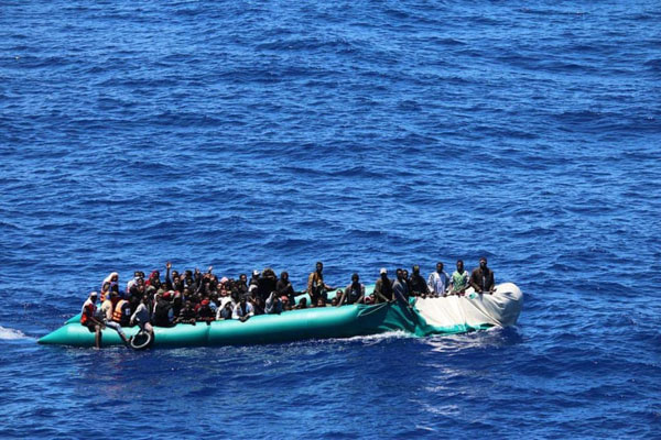 این فیل را صاعقه کشت / چشم در چشم با یک کوسه خوفناک و غول پیکر (گزارش تصویری) این فیل را صاعقه کشت / چشم در چشم با یک کوسه خوفناک و غول پیکر (گزارش تصویری)