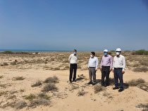 افزایش مراکز بازسازی ذخایر آبزیان برای هرمزگان یک ضرورت است