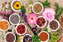 گیاهان دارویی؛نسخه شفا بخش و سود آور