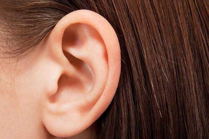 گوش‌ های برجسته كه در فرهنگ عامه ما گوش آینه‌ ای یا بلبله‌ گوش گفته می‌شود، از هر ۱۰۰ نفر پنج نفر را درگیر می‌كند. قسمت زیادی از لاله گوش ما انسان‌ها در زیر پوست حاوی غضروف است اما نرمه گوش دارای بافت چربی است.