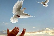 کمک 30 میلیاردی نیکوکاران آملی برای آزادی زندانیان