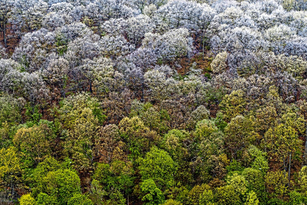 اعتراض ترسناک! / ماجرای یک عروسک غول پیکر (گزارش تصویری) اعتراض ترسناک! / ماجرای یک عروسک غول پیکر (گزارش تصویری)