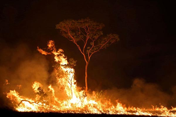 ترس از آتش سوزی دوباره در آمازون / نیوزلند؛ دشمن کل جهان (گزارش تصویری)