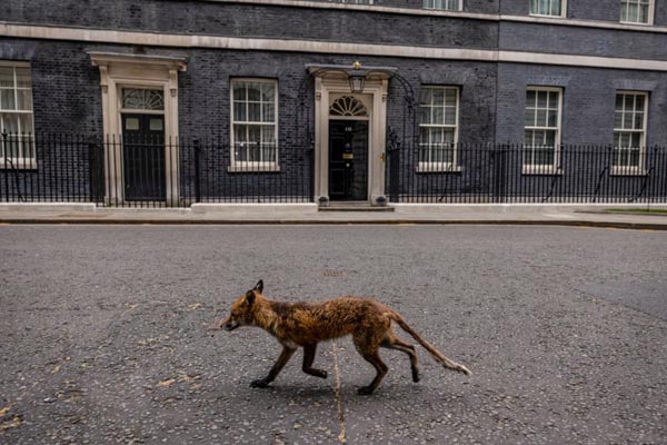 صف سوزاندن جنازه هنوز شلوغ است / اخراج به صورت دست بسته (گزارش تصویری) صف سوزاندن جنازه هنوز شلوغ است / اخراج به صورت دست بسته (گزارش تصویری)