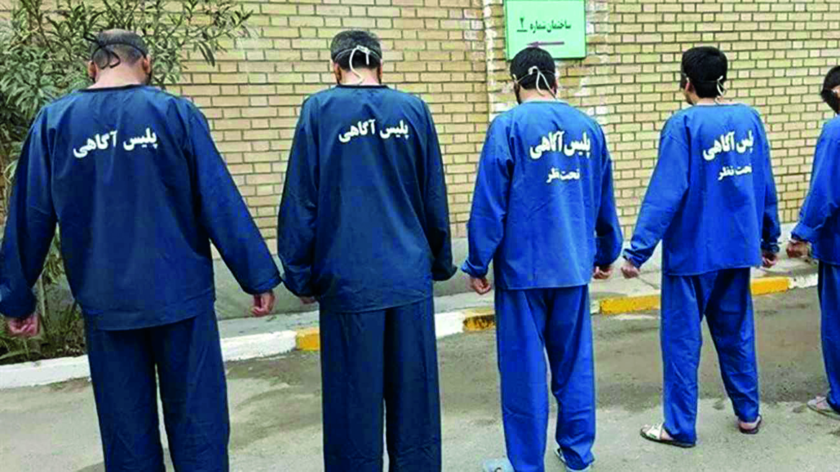 سرقت مرغ و تخم‌مرغ با کلت و کلاش!