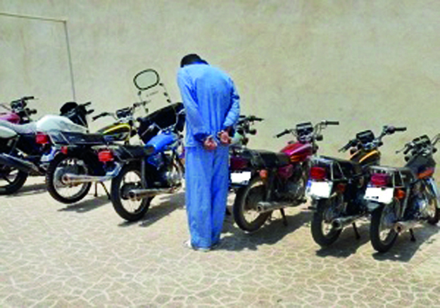 سرقت مرغ و تخم‌مرغ با کلت و کلاش!