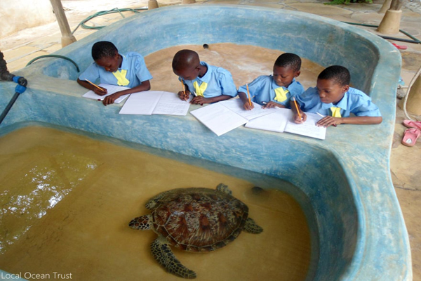 برندگان جایزه عکاسی «حفاظت از جهان» (گزارش تصویری) برندگان جایزه عکاسی «حفاظت از جهان» (گزارش تصویری)