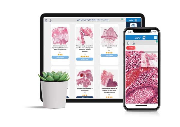 کاربردهای وسیع لام‌های دیجیتال در علوم آزمایشگاهی