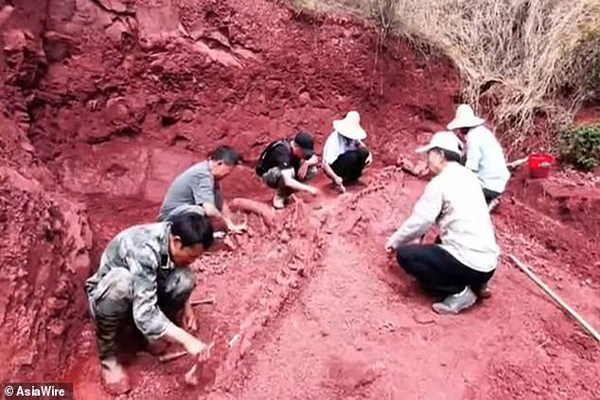 کشف یک دایناسور در چین (تصاویر)