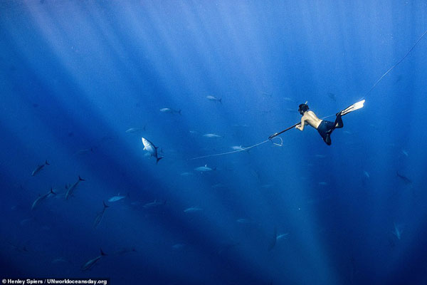 تصاویر برگزیده مسابقه روز جهانی اقیانوس (گزارش تصویری) تصاویر برگزیده مسابقه روز جهانی اقیانوس (گزارش تصویری)