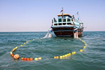 صید ترال و افزایش قیمت ها، کمر صیادان را شکسته است