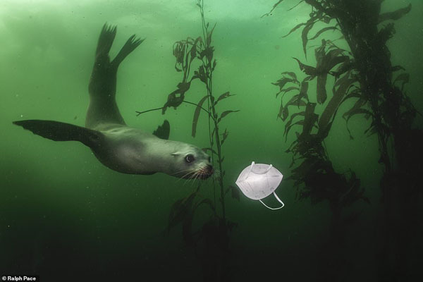 تصاویر برگزیده حیات وحش و طبیعت از یک مسابقه عکاسی (گزارش تصویری) تصاویر برگزیده حیات وحش و طبیعت از یک مسابقه عکاسی (گزارش تصویری)