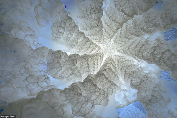 تصاویر برگزیده حیات وحش و طبیعت از یک مسابقه عکاسی (گزارش تصویری) تصاویر برگزیده حیات وحش و طبیعت از یک مسابقه عکاسی (گزارش تصویری)