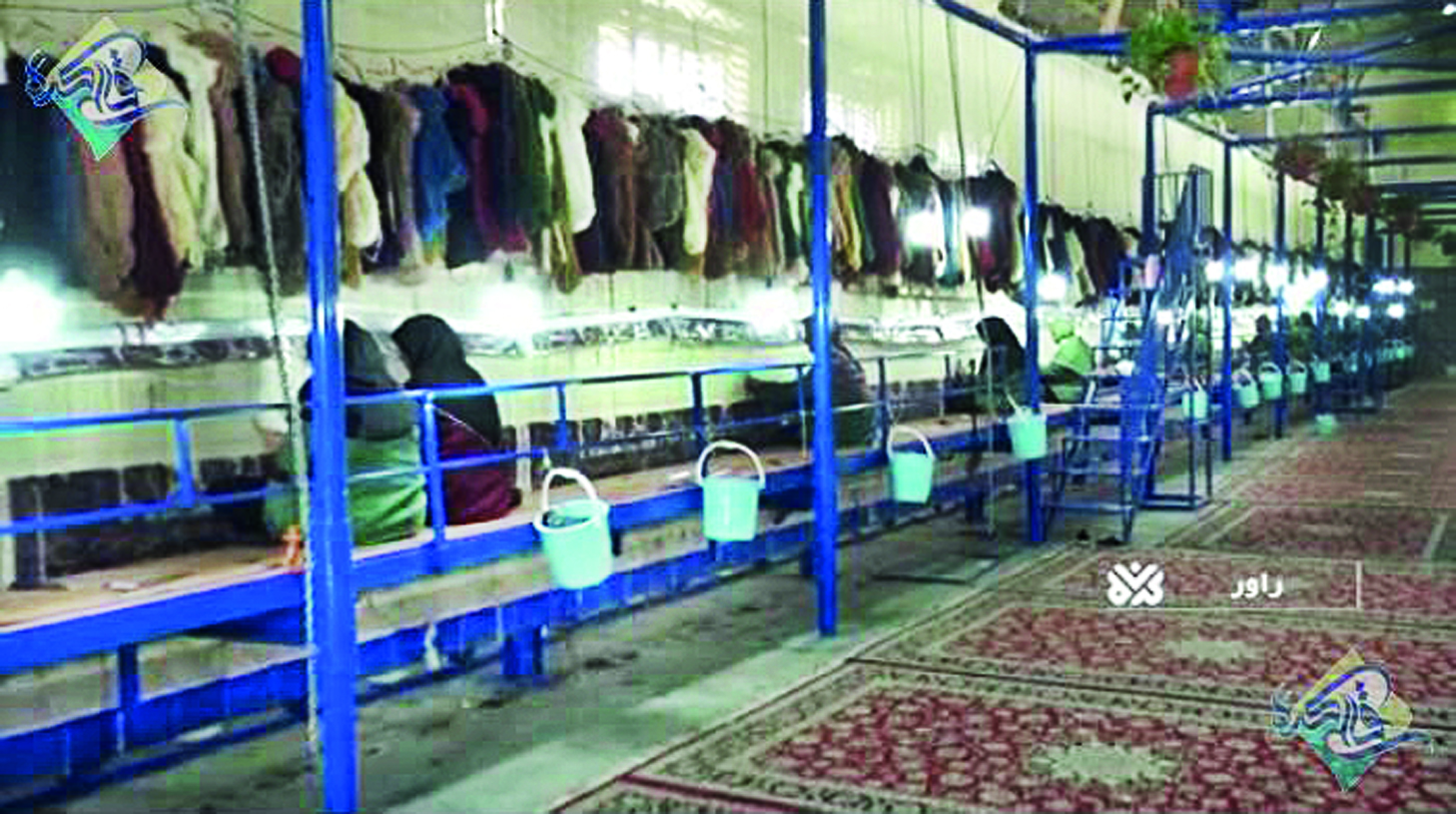 محرومیت، پای قالیهای میلیاردی محرومیت، پای قالیهای میلیاردی