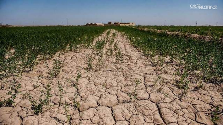 معاون وزیر کشاورزی در امور آب و خاک گفت: امسال از محل اعتبارات خشکسالی یک هزار و ۵۰۰ میلیارد تومان برای رفع خشکسالی اردبیل در نظر گرفته شده است.