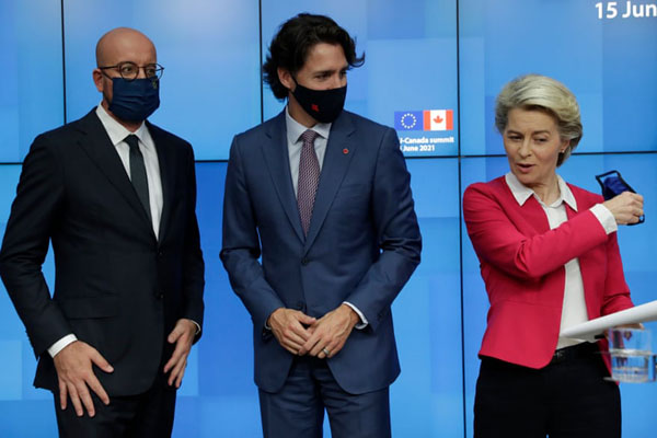 این شیر نر پیشگویی می کند!  (گزارش تصویری)