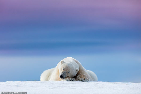 عکس های برگزیده مسابقه عکاسی بین المللی «طبیعت» (گزارش تصویری) عکس های برگزیده مسابقه عکاسی بین المللی «طبیعت» (گزارش تصویری)