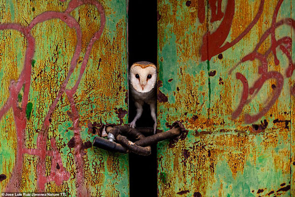 عکس های برگزیده مسابقه عکاسی بین المللی «طبیعت» (گزارش تصویری) عکس های برگزیده مسابقه عکاسی بین المللی «طبیعت» (گزارش تصویری)