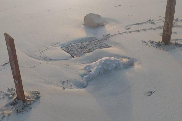 فاجعه انسانی در آب های لیبی / کودکان مهاجر غرق شدند فاجعه انسانی در آب های لیبی / کودکان مهاجر غرق شدند