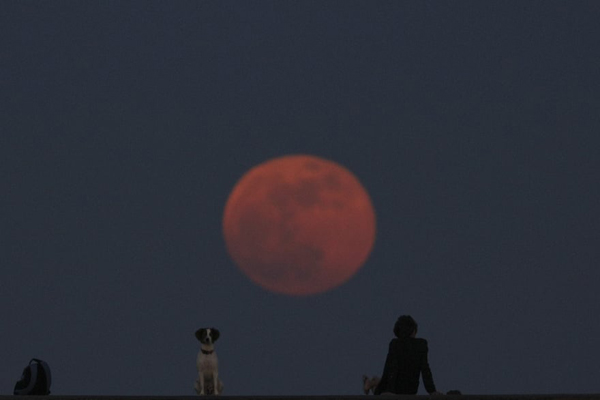 اَبَرماه باز هم زیبایی اش را در کل جهان به رخ کشید (تصاویر) اَبَرماه باز هم زیبایی اش را در کل جهان به رخ کشید (تصاویر)
