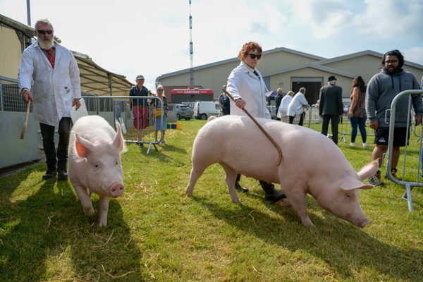 لحظات مهم شبانه روز اخیر (گزارش تصویری) لحظات مهم شبانه روز اخیر (گزارش تصویری)
