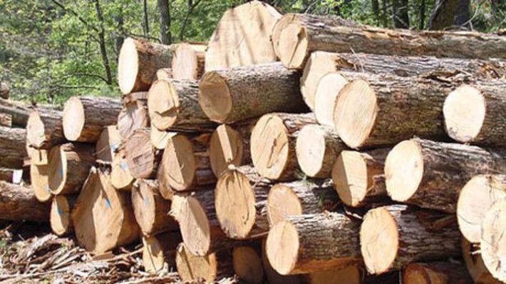 فرمانده ی انتظامی شهرستان ایجرود از کشف ۳ تن چوب قاچاق از یک دستگاه کامیونت ایسوزو در این شهرستان خبر داد.