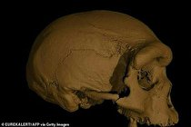 ما انسان ها اینگونه تکامل پیدا کردیم (عکس)