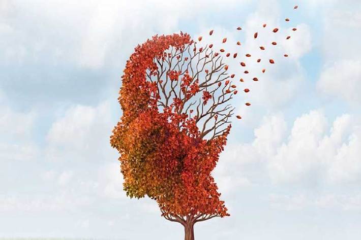 اعضای انجمن آلزایمر معتقدند خطر زوال عقل در جامعه رو به افزایش است و با رعایت برخی موارد می‌توان از بروز آن جلوگیری کرد.