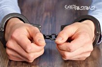 ۲۱ عامل مشارکت‌کننده در جرایم میراث فرهنگی دستگیر شدند
