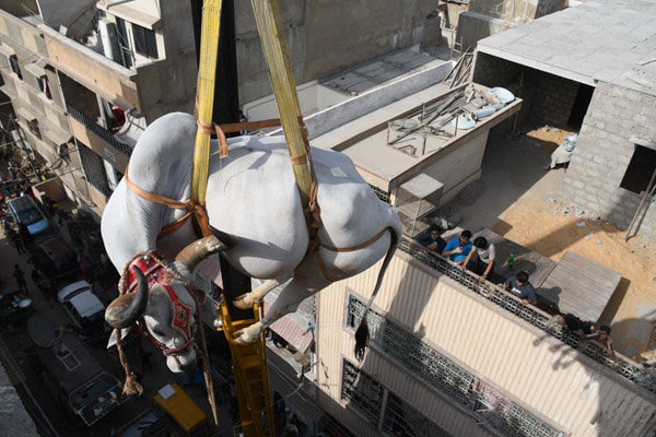 لحظات خبری و غیرخبری جالب 24 ساعت اخیر (گزارش تصویری)