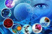 سلول‌ های بنیادی چگونه آسیب‌های بافتی را ترمیم می‌کنند؟