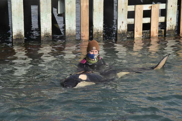 عکس های مهم روز سه شنبه (گزارش تصویری) عکس های مهم روز سه شنبه (گزارش تصویری)