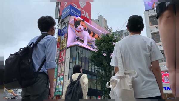 تبلیغات ژاپنی با گربه غول پیکر! (+ عکس و فیلم)