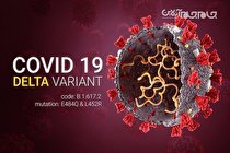 دو هفته بحرانی کرونا در انتظار قم