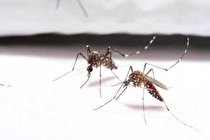 لباس‌ هایی که جلوی نیش زدن پشه‌ ها را می‌گیرند