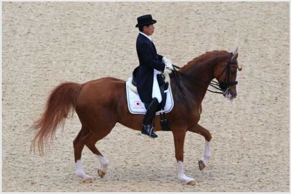 جوانترین و مسنترین ورزشکاران المپیک توکیو (+عکس) جوانترین و مسنترین ورزشکاران المپیک توکیو (+عکس)