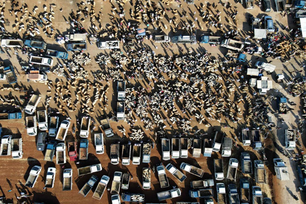 بلایی که این سیل وحشتناک سر آلمان و بلژیک آورد / صید یک مار از منزل مسکونی (گزارش تصویری)